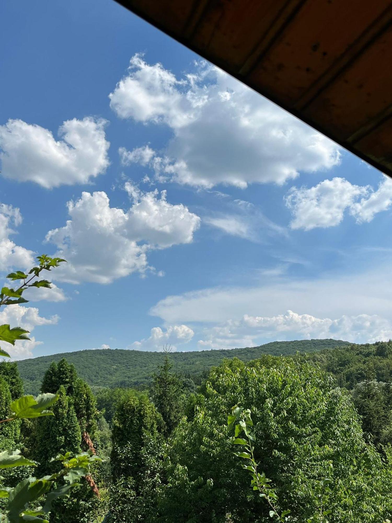 Maxx Lodge Bacău エクステリア 写真